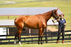 A5DA32C3-20C2-42FB-92C5-BA2242BB57BB