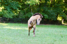 74502D34-5581-44CA-A961-ED8861EEEB6C.jpeg