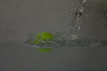 CB8CF7BD-FAEA-4665-A5CE-7E458D8A2552.jpeg