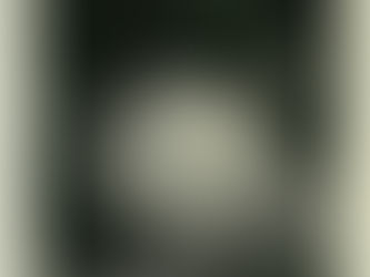 La Tortue de Des Esseintes, par J.K. Huysmans