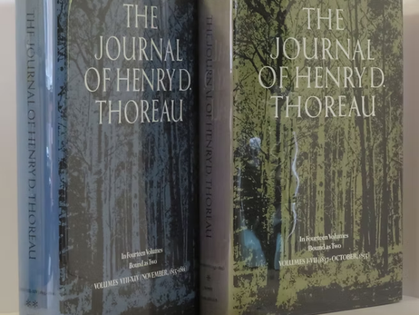 H.D. Thoreau : A Lost Kitten