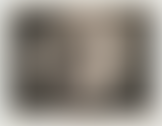 Shakespeare's The Tempest : A Jungian Interpretation