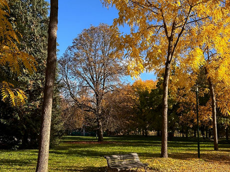 Mallarmé, "Plainte d'automne"