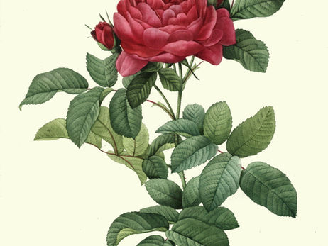 Pensée des jardins, par Francis Jammes