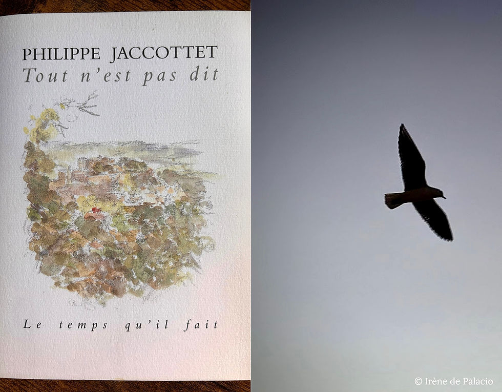 « Les souvenirs », par Philippe Jaccottet