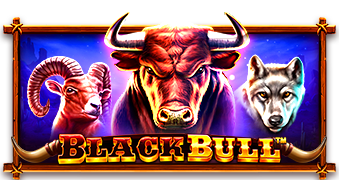 Black-Bull_339x180-1.png