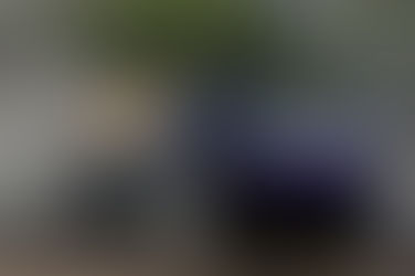 La perfezione della guida rallistica: i risultati della prima sessione di qualifiche in Sardegna