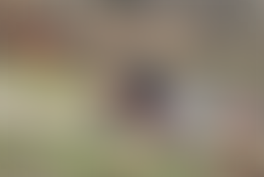 A Graffignano esordio con vittoria per Mirko Gritti nel Campionato Italiano Enduro Major 