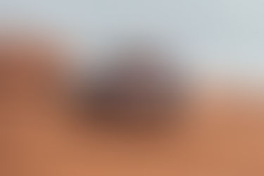 Feeling da favola per Maurizio Gerini e Jacopo Cerutti sulla Mini X Raid e il Can Am SRME