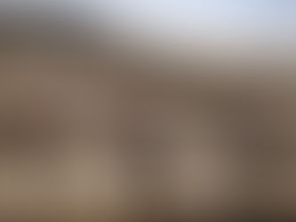 I quattro alfieri KTM per la Dakar 2021