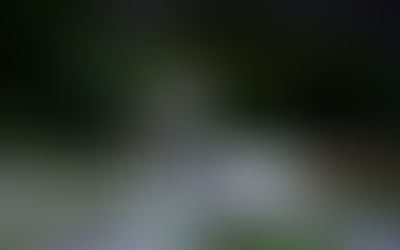 Jacopo Cerutti conquista il Rally d'Albania: 2° Paolo Lucci e 3° Tommaso Montanari