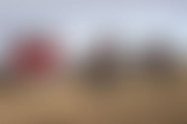 Monster Energy Honda Team 2021, adorning the number 1