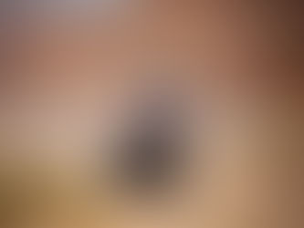 Jordan Baja, deuxième manche de la Coupe du Monde FIM des Bajas