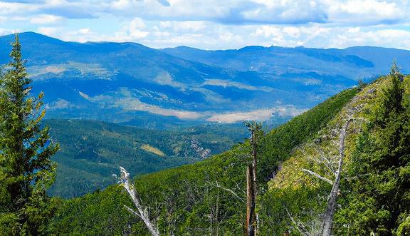 landscape image of trees, mountains, lakes, rivers of north idaho in the daylight.jpg