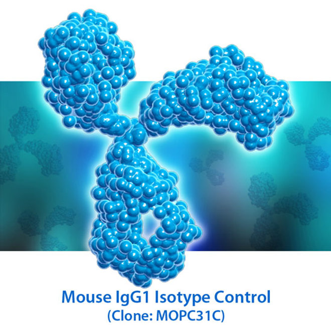 Custom antibody development: Mouse IgG1 Isotype Control in Research