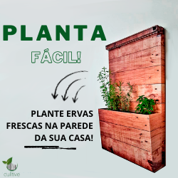 Miniatura: Culltive-One