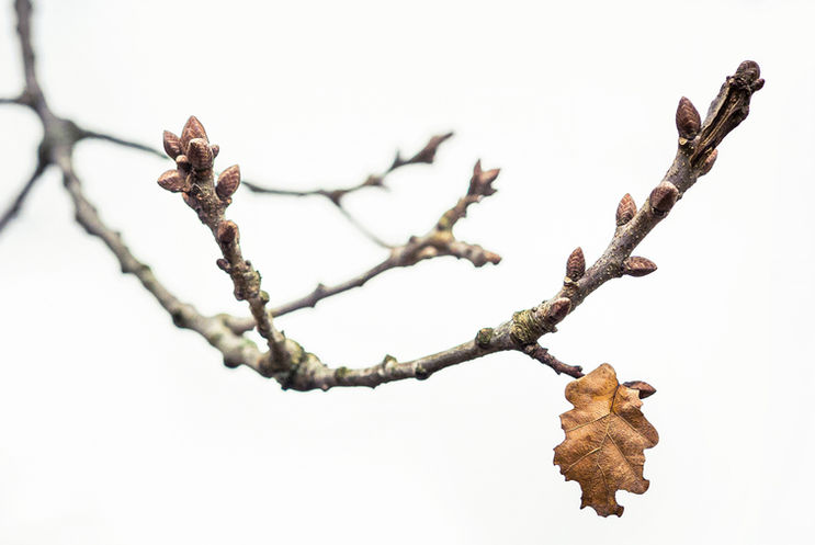 Eine Herbsterinnerung