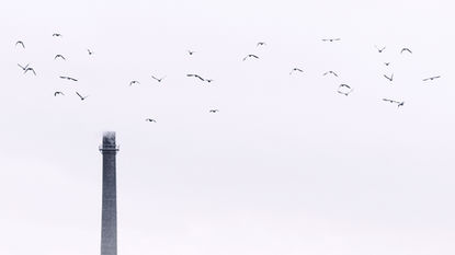 Minimalistisches Motiv eines grauen Tages