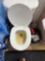 Toilet Before
