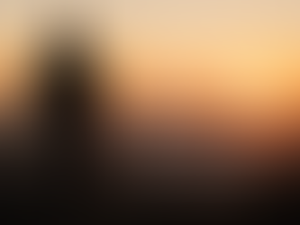 A man looking into the sunset