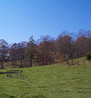 Crooked Creek (2).jpg