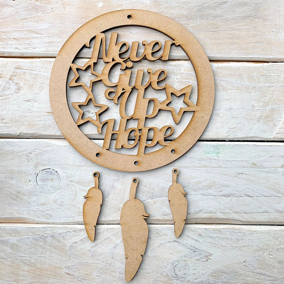 Dream Catcher Never Give Up Hope