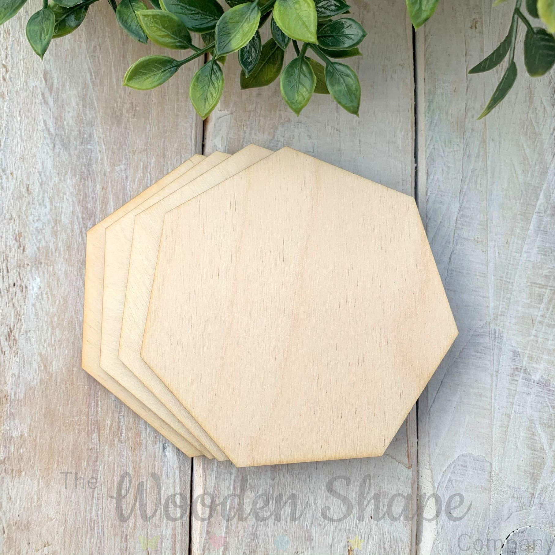 4 Pack Birch Plywood Heptagons