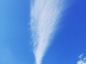 Was ist eigentlich natürliches Marketing?