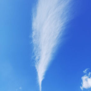 Was ist eigentlich natürliches Marketing?