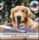 Groomsly Dog Groomers Subscription Box