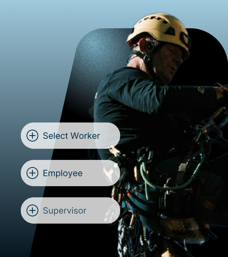 Web Graphics 800px (3).png