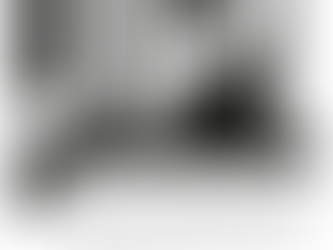 UPI Nordic Launch event