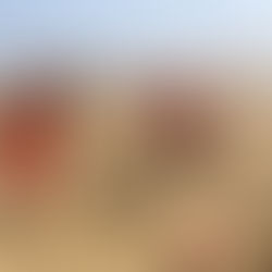 Mardi 12 Août 2025 🌞