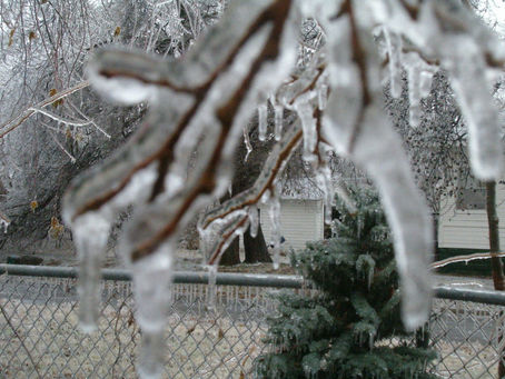 ice storm damage