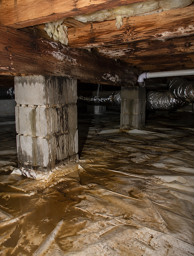 crawlspace problems