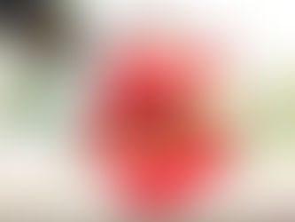 Türkiye’nin ve Dünyanın En Sevilen Kolajeni!