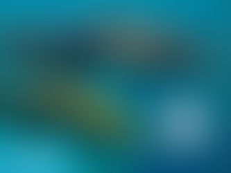 Morina Balığının Faydaları Nelerdir, Nerelerden Bulunabilir?