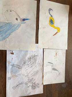 EsoL4d5OTk2OMeddu+V8Jg