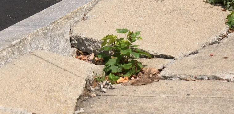 Building Safer Streets: Sidewalk and Infrastructure Improvements Across Ward 15