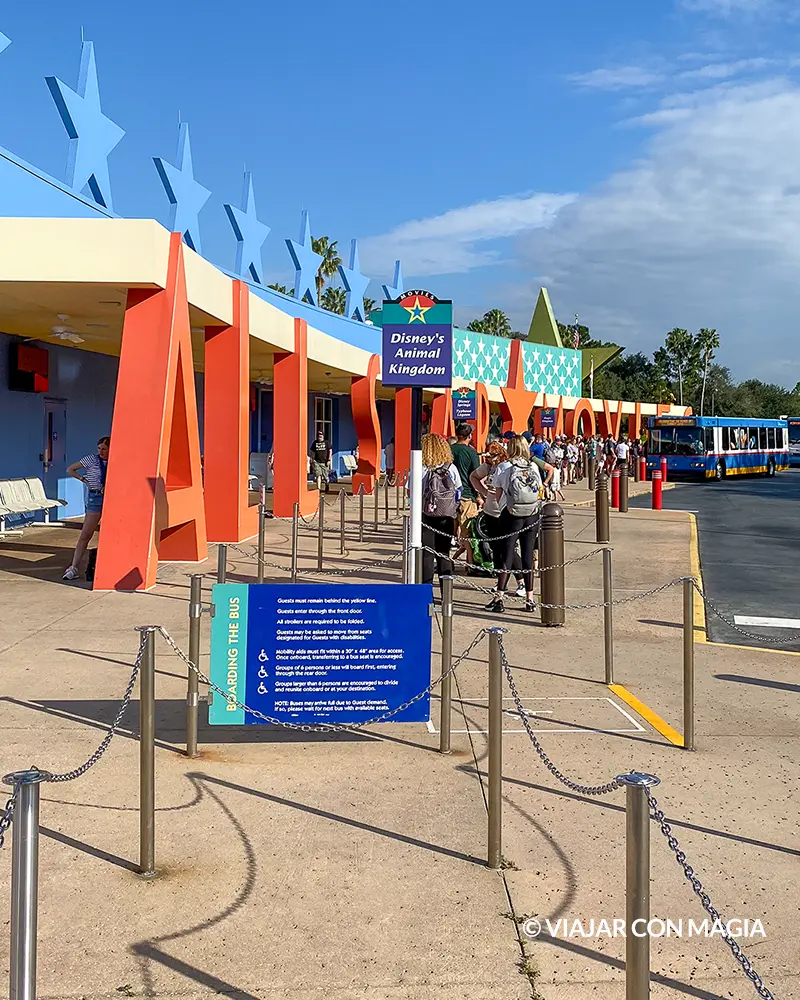 Transporte Gratuito - Disney's All-Star Movies