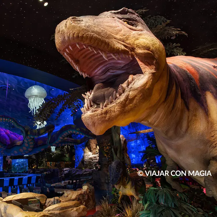 Comer en Disney Springs - con el Plan de Comidas - Viajar con Magia