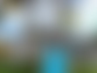 Disney's Caribbean Beach Resort - Viajar con Magia - Agentes Expertos en Disney y Universal