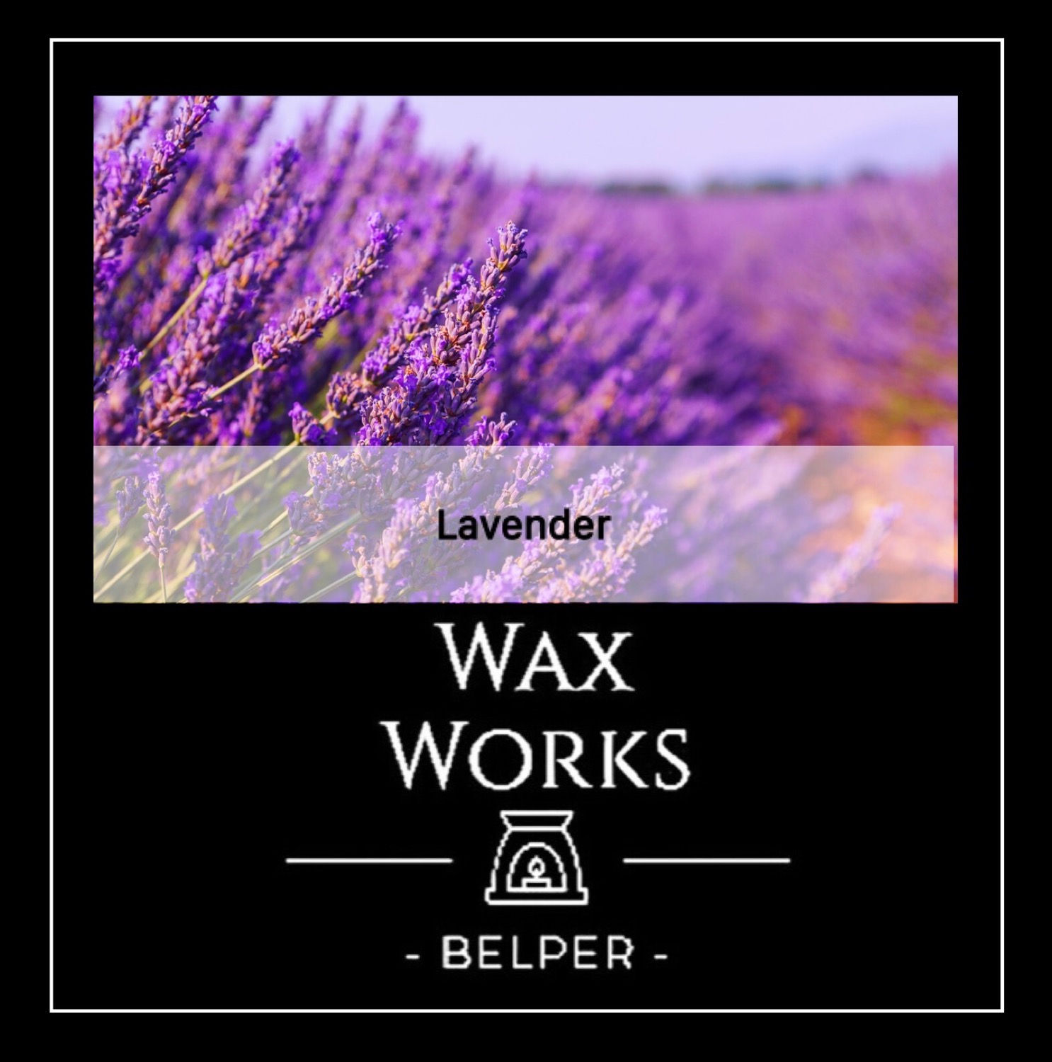 Lavender