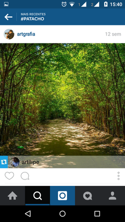 Túnel Verde