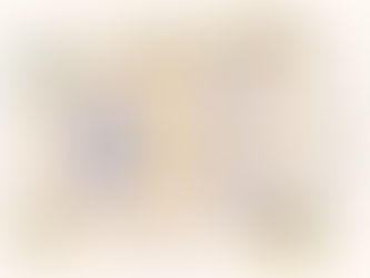 Why Choose a Professional Interior Designer?Introduction