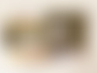 Brave Ground – តូនពណ៌សាមញ្ញ កក់ក្តៅ សម្រាប់ការតុបតែងផ្ទះ