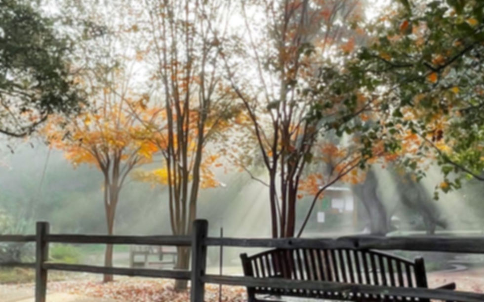 lakeway city park.jpg