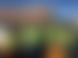 Keeping our Community Clean....working with N.S.L.E.O.A to clean the streets of Greensboro.