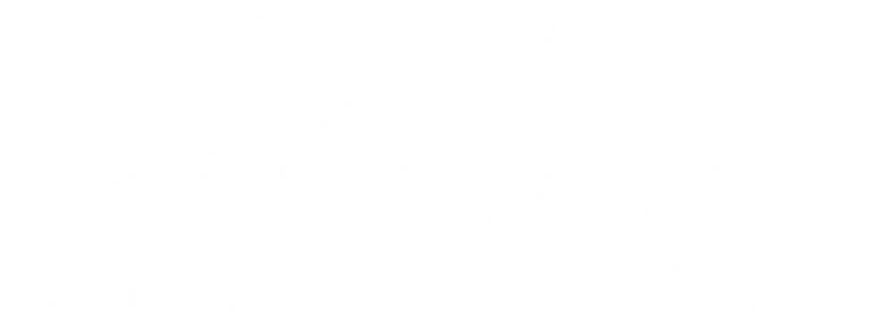 Louis Campana Architects Connecticut Residential Design Logo_edited.png