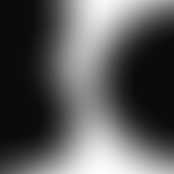 ホームページ公開